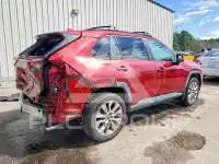 2019 Toyota RAV4 photo