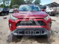 2019 Toyota RAV4 photo