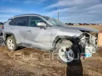 2019 Toyota RAV4 photo
