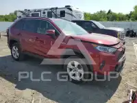 2019 Toyota RAV4 фото