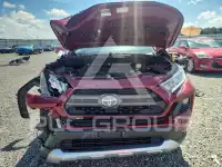 2019 Toyota RAV4 фото