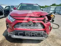 2019 Toyota RAV4 фото