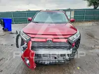 2019 Toyota RAV4 фото