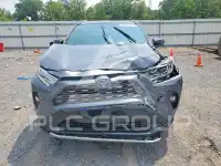 2019 Toyota RAV4 photo