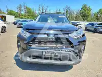 2019 Toyota RAV4 фото