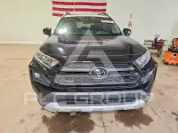 2019 Toyota RAV4 фото