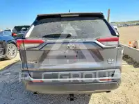 2019 Toyota RAV4 photo