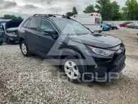 2019 Toyota RAV4 photo