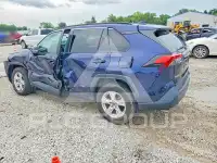 2019 Toyota RAV4 фото