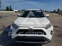 2019 Toyota RAV4 фото