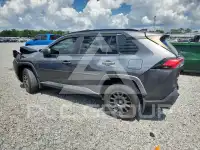 2019 Toyota RAV4 фото