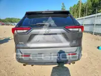 2019 Toyota RAV4 фото