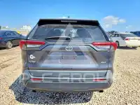 2019 Toyota RAV4 фото