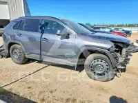 2019 Toyota RAV4 photo