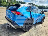 2019 Toyota RAV4 photo
