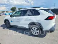 2019 Toyota RAV4 photo