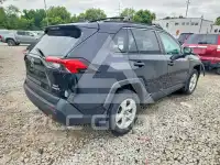 2019 Toyota RAV4 photo