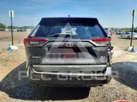 2019 Toyota RAV4 photo