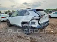 2019 Toyota RAV4 фото