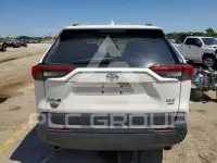 2019 Toyota RAV4 photo
