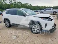 2019 Toyota RAV4 фото