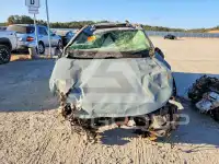 2019 Toyota RAV4 photo