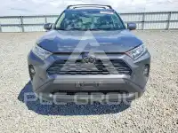 2019 Toyota RAV4 photo