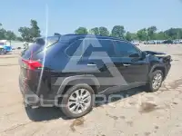 2019 Toyota RAV4 photo