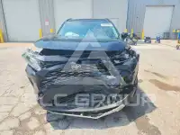 2019 Toyota RAV4 photo