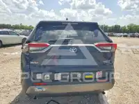 2019 Toyota RAV4 photo