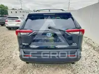 2019 Toyota RAV4 photo
