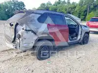 2019 Toyota RAV4 photo