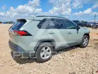2019 Toyota RAV4 photo