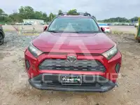 2019 Toyota RAV4 фото