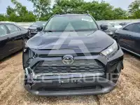 2019 Toyota RAV4 фото