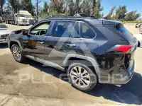2019 Toyota RAV4 photo