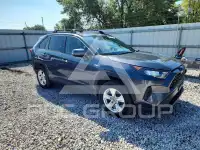 2019 Toyota RAV4 фото