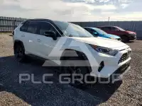 2019 Toyota RAV4 фото