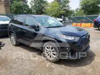 2019 Toyota RAV4 фото