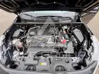 2019 Toyota RAV4 photo