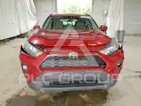 2019 Toyota RAV4 photo