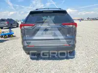 2019 Toyota RAV4 фото