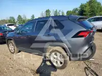 2019 Toyota RAV4 photo