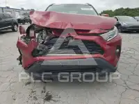 2019 Toyota RAV4 фото