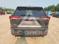 2019 Toyota RAV4 photo