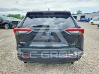 2019 Toyota RAV4 фото