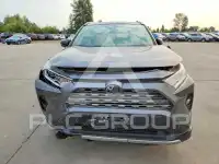 2019 Toyota RAV4 photo