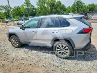 2019 Toyota RAV4 фото