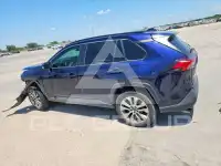 2019 Toyota RAV4 photo