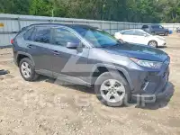 2019 Toyota RAV4 photo